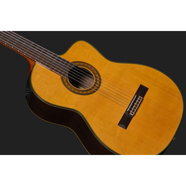 Takamine EC132SC w/Softcase