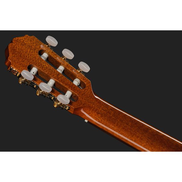 Takamine EC132SC w/Softcase