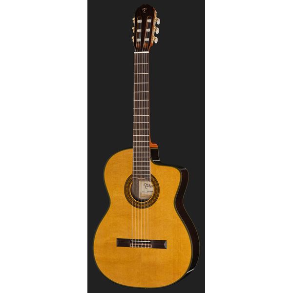 Takamine EC132SC w/Softcase