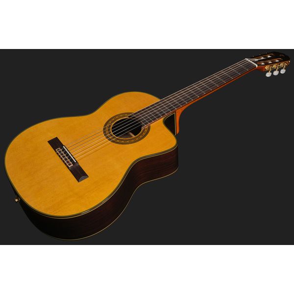 Takamine EC132SC w/Softcase