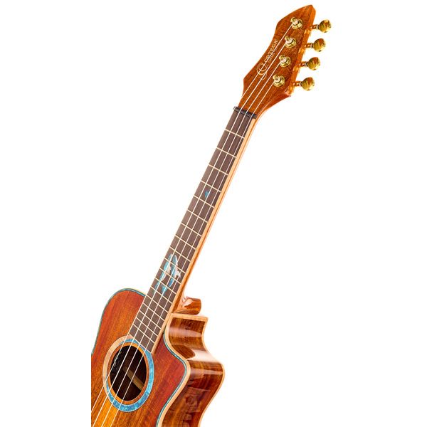 Ortega RUHZ30TH-BW Tenor Ukulele