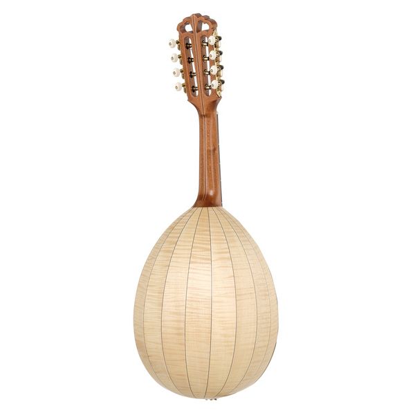 K. Knorr La Gioiosa Solist Mandolin MA