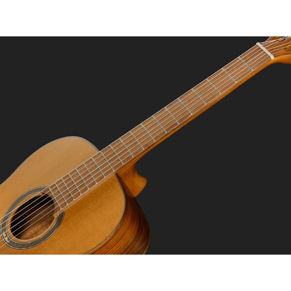 Ortega R23RO Thermo Series