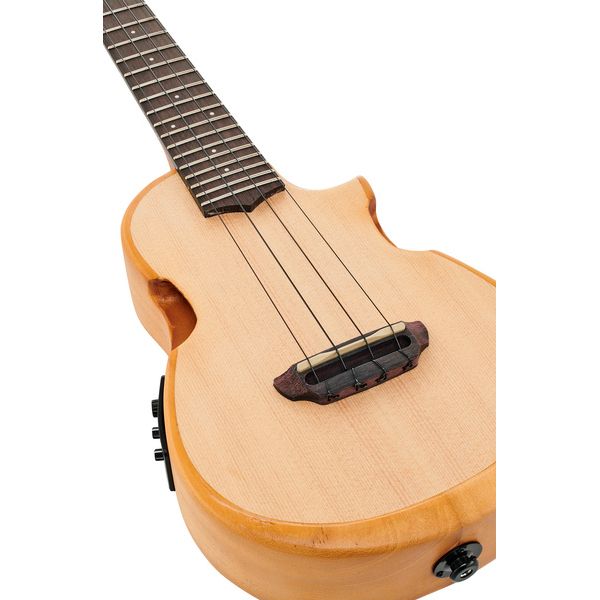 Ibanez AUC10E-OPN