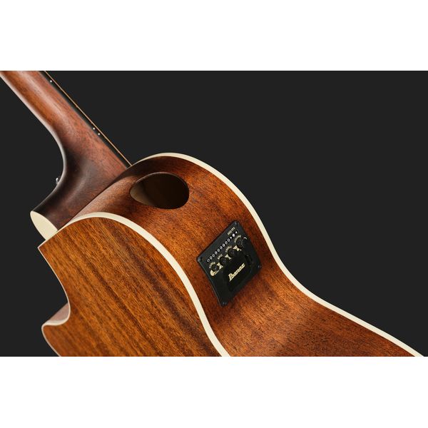 Ibanez AE140-WKH
