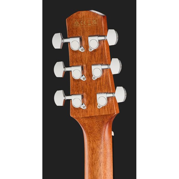 Ibanez AAM50CE-OPN