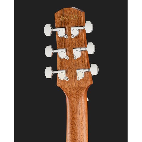 Ibanez AAM54CE-OPN