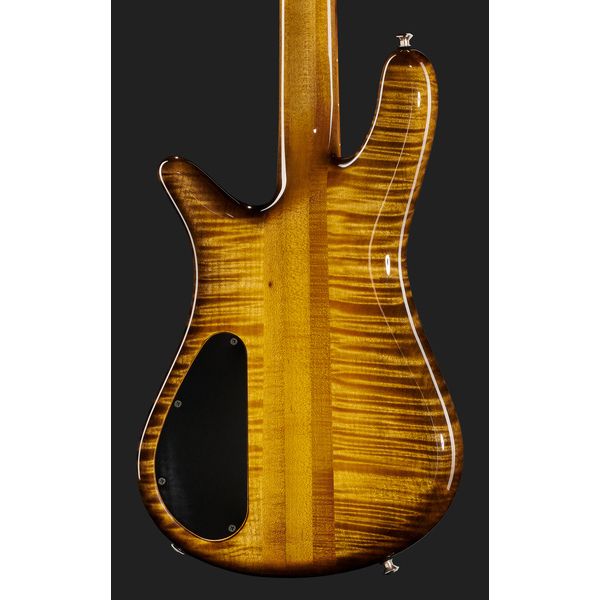 Spector NS-2 Curly Maple Honey Burst