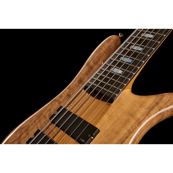 Spector NS-6 Walnut