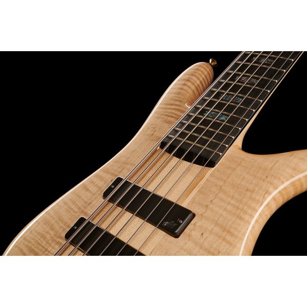 Spector NS-6 Flamed Maple