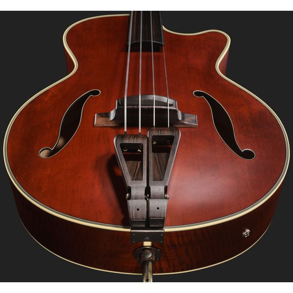 Takamine DB10 w.Case