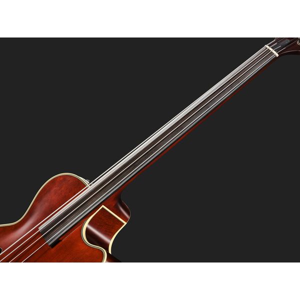 Takamine DB10 w.Case