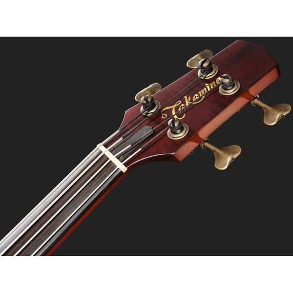 Takamine DB10 w.Case