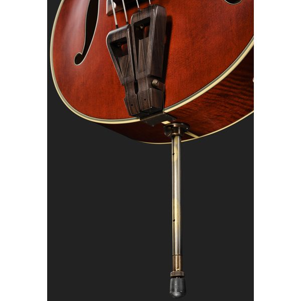 Takamine DB10 w.Case