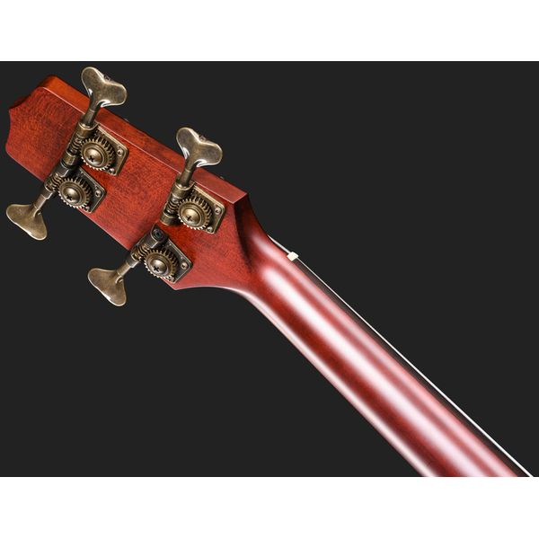 Takamine DB10 w.Case