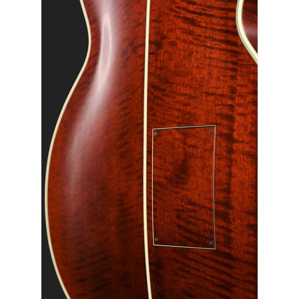 Takamine DB10 w.Case