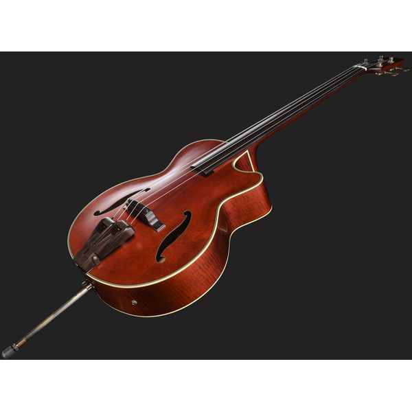 Takamine DB10 w.Case