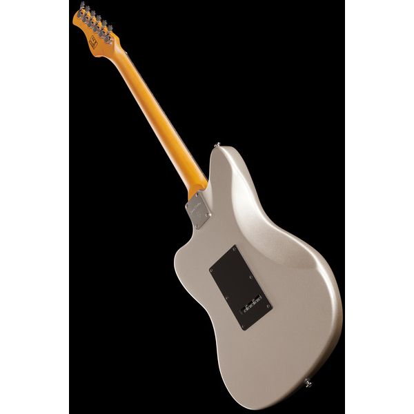 Larry Carlton J3 Silver