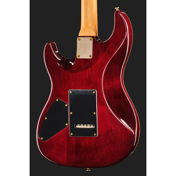 Larry Carlton S10 HSS Natural Burst