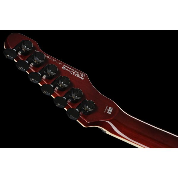 ESP LTD Phoenix QM Tobacco Burst