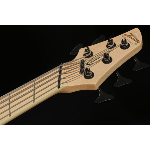 Dingwall CB3 Combustion 5 Whalepool Bst