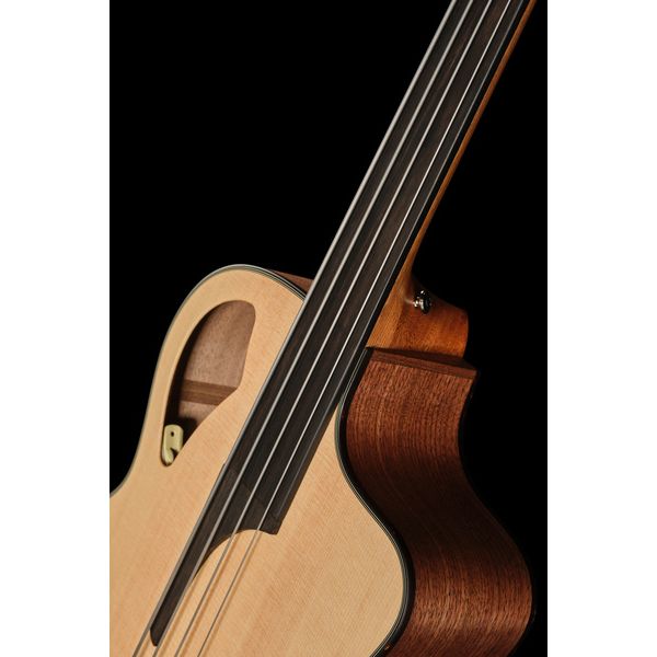 Furch Bc-62-SW 4 Fretless