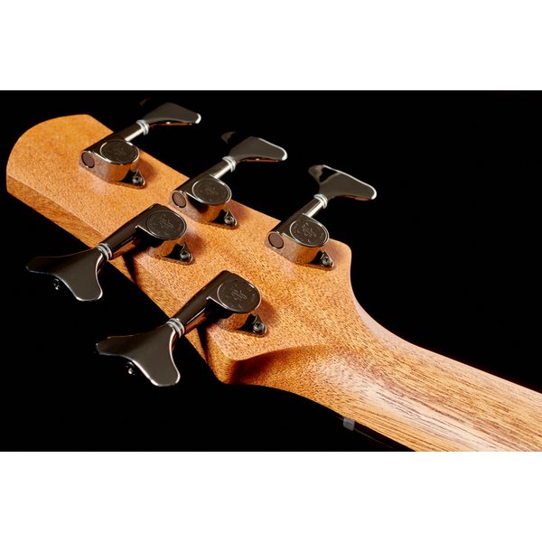 Furch Bc 62-SW 5 Fretless