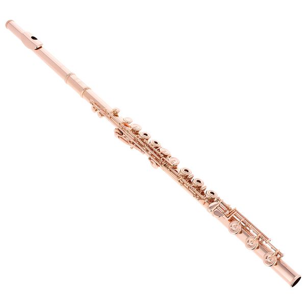 Altus AS-1607 ERB 18K GP Flute