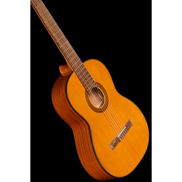 Takamine GC1-NAT