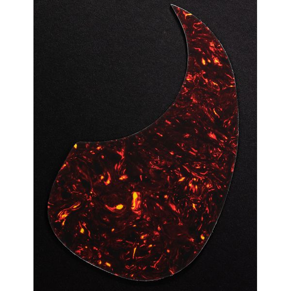 Applause AEJ96-1 Jumbo Cut Electro