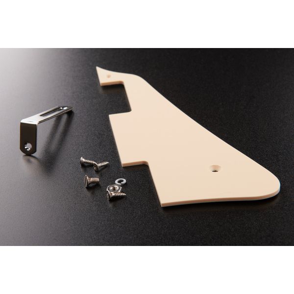 Gibson Les Paul Slash "Jessica" HB/RB