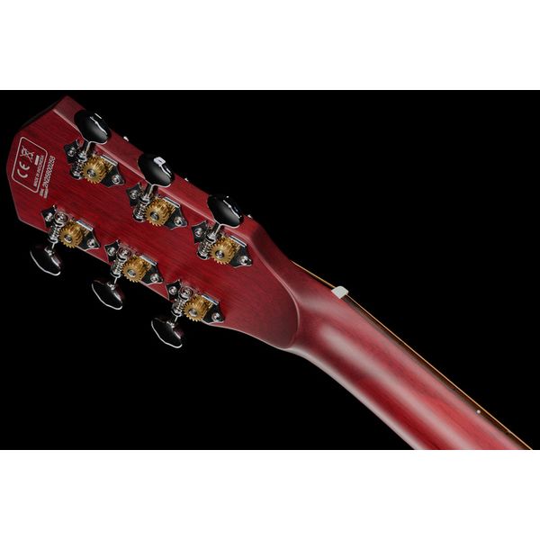 Larry Carlton G5A Tobacco Sunburst