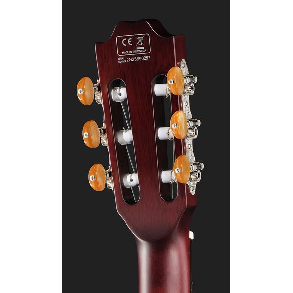 Larry Carlton G5N Natural