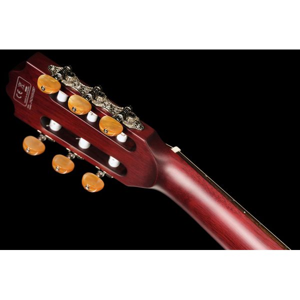 Larry Carlton G5N Natural