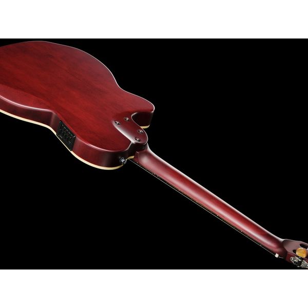 Larry Carlton G5N Natural