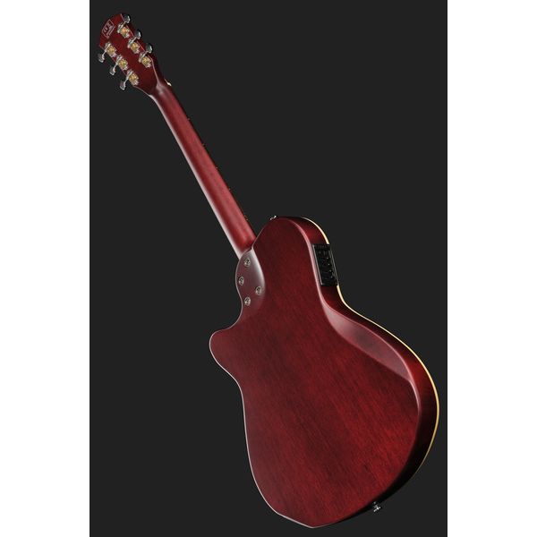 Larry Carlton G5A Natural