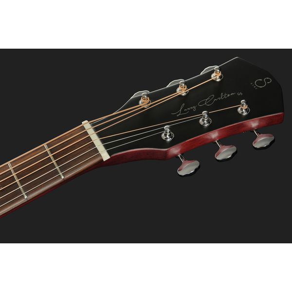 Larry Carlton G5A Natural