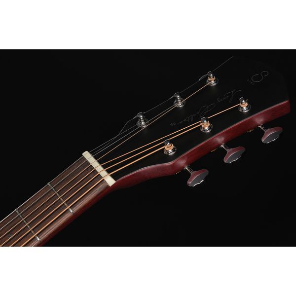 Larry Carlton G5A Tobacco Sunburst LH