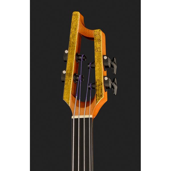 Ulrich Bass Nicolo Fretless 4 Amber