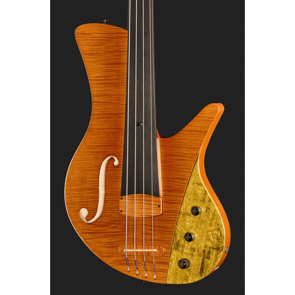 Ulrich Bass Nicolo Fretless 4 Amber