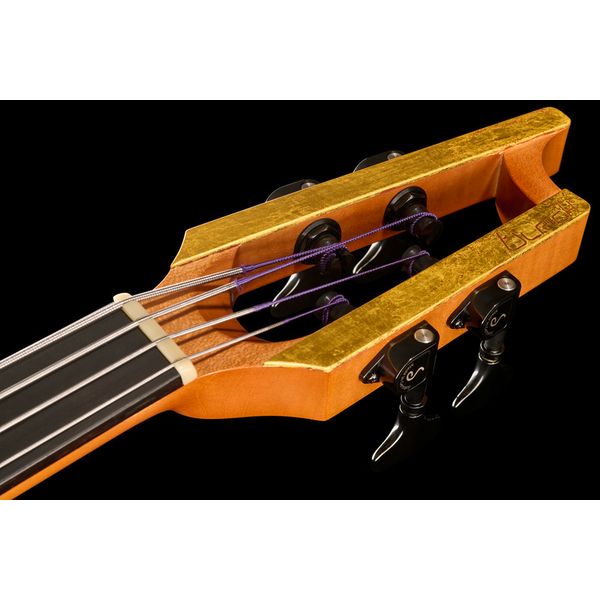 Ulrich Bass Nicolo Fretless 4 Amber