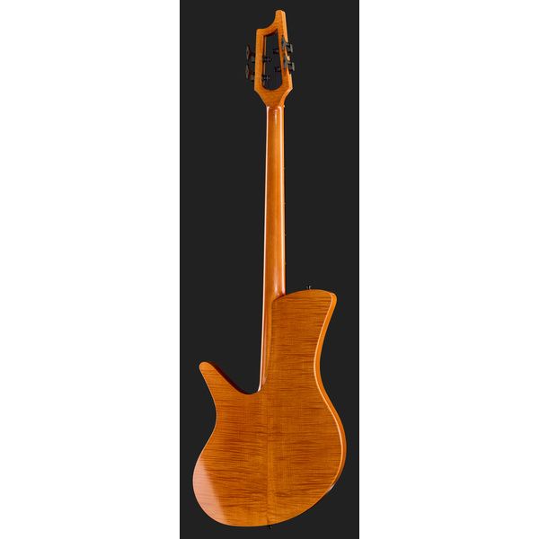 Ulrich Bass Nicolo Fretless 4 Amber