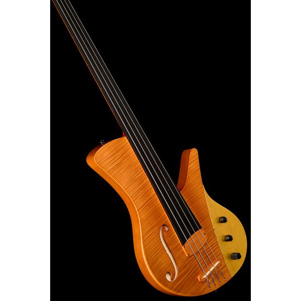 Ulrich Bass Nicolo Fretless 4 Amber