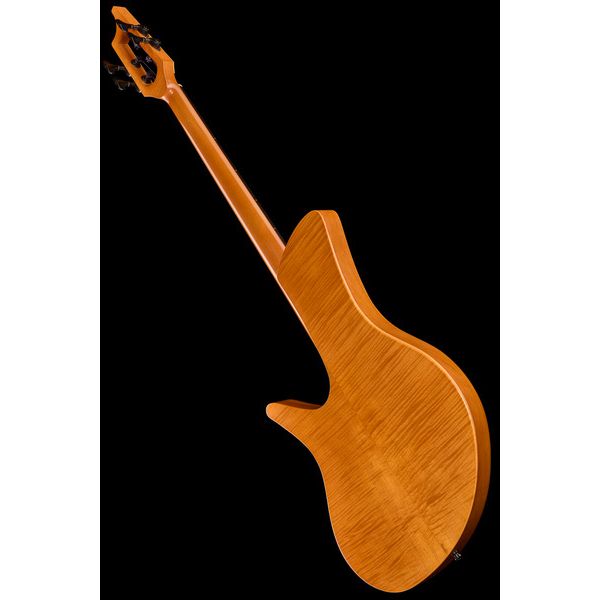 Ulrich Bass Nicolo Fretless 4 Amber