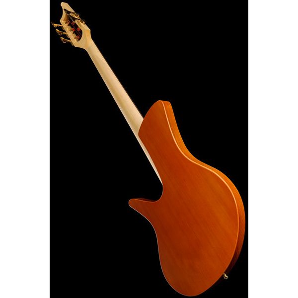 Ulrich Bass Nicolo Fretless 5 Walnut