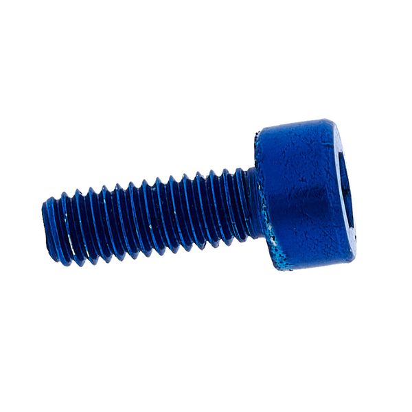 Floyd Rose Saddle Mounting Screws Blue