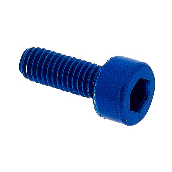 Floyd Rose Saddle Mounting Screws Blue