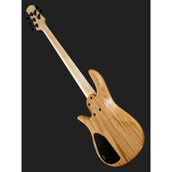 Fodera Yin Yang 5 Std. Blister Maple