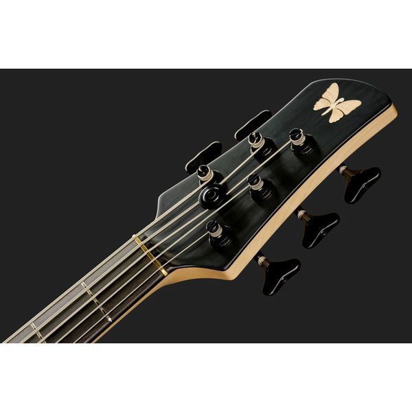 Fodera Yin Yang 5 Std. Blister Maple