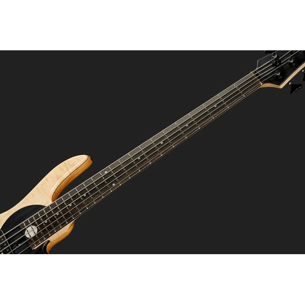 Fodera Yin Yang 5 Std. Blister Maple